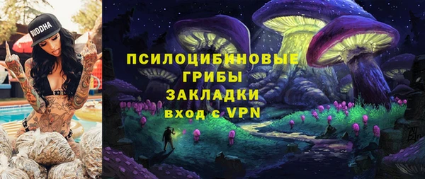 метадон Богданович