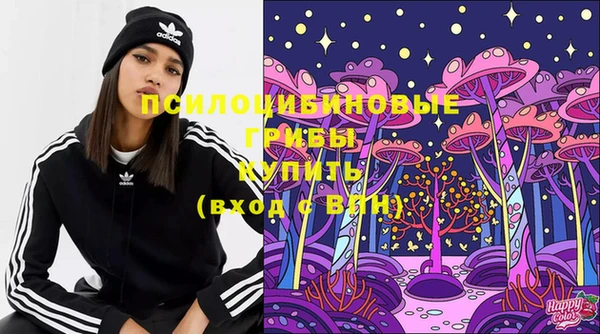 стафф Протвино